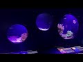 Monaco Aquarium | Monaco Musee Oceanographique | French Riviera