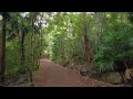 A Virtual Hike Of Brisbane's Most Popular Hike (Mount Coot-tha)