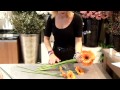 How To Arrange Daisies In A Bouquet