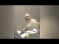 The Funniest Cat Moments of All Time 😹 Funniest Animals 2024 😹