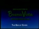 Disney Buena Vista Movie Intros