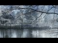 The Spiritual Meditation Music With Falling Snow|Calming Winter Times|Covering By Snow|2024|