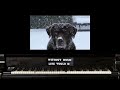 Ballad Pour Adeline - Richard Clayderman cover. Ragtime/Stride piano version by Martycli Piano Guy