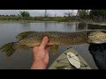 NORTHERN PIKE CAUGHT KAYAK!