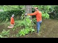 Homeowner's Lawn Gets So Overgrown the City Was MAD!