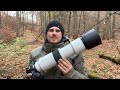 Canon RF200-800mm - Praxistest: Autofokus, IS und Schärfe