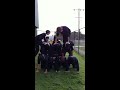 Human pyramid 8