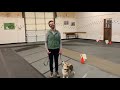 AKC Rally Novice Virtual Entry - Smith