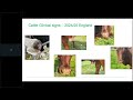 Bluetongue Virus – September Update | AHDB Webinar