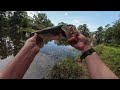 BFS Fishing for Largemouth Bass