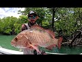 Skinny Creeks LOADED With Fish!