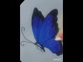 How to draw a butterfly Step by step #video #drawing #art #🦋