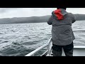 Whale watching in Alaska