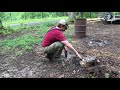 Removing a stump with 55 gallon barrel