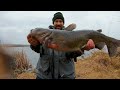 The Most EPIC Catfish Bite from the BANK!! (300+ pounds)