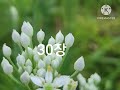 시편낭송21~30장