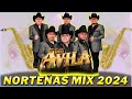 Los Avila Éxitos Mix Para Pistear 💥 Las Mejores Canciones 💥Puras Norteñas Pa Pistear