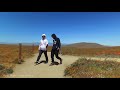 SUPER BLOOM IS ALMOST GONE at Antelope Valley California Poppy Reserve 2019 Walk Tour 🎧 【4K】