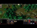 lets play: Warcraft 3 frozen throne custom campaign Day of the Dragon part 5 PL