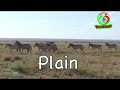 The main physical features in Kenya//Social studies Grade 4, 5, class 6 ,8 and
