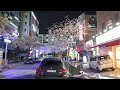 “Cherry blossoms are even more colorful at night” 4K