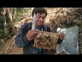 Mengecek Lokasi lebah Yang Saya Pindah Dari Temat Lain