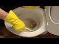 How To Remove Hard Water Stains From Toilet Bowl