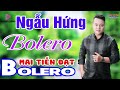 Lk Rumba MAI TIẾN ĐẠT, Ngẫu Hứng BOLERO, Nhạc Bolero Hay Nhất 2023, Toàn Bài Hay Nghe Là Nghiện