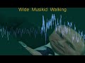 WIDE MUSIKID WALKING - Music Video - Rendered In Corrscope Oscilloscope