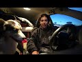 My Dog Got Injured | Living In My Car