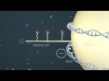 Basic Primer in Epigenetics