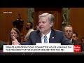 FBI's Wray Asked If Trump's Trials Are 'Coordinated Election Interference' Or 'Just A Coincidence'