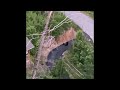 Black bear and three cubs in Gatlinburg #black bears, #gatlinburg,