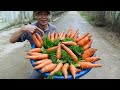 I Tried And Succeeded, Simple And Low Cost Home Growing Carrots