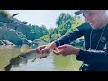 Tìm Con Cá Lớn Trên Thượng Nguồn Series Đi Rừng P8 Fishing, camping, cooking in the forest