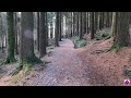 Virtual running videos for treadmill 4K | Virtual forest run | Virtual jogging scenery Ireland