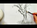Tree drawing with pencil