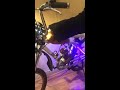 Cat driving a motorized bike