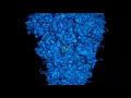 aa motif with identity between Spike protein from SARS-CoV-2 and Syncytin 1