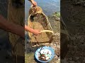 Best Unique Net Tools Fish Trap  Of Catching Lot Of Fish🐟🎣#shorts #viral #fishing