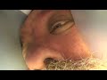 Cat Surprised When Man puts HEAD in TUBE! #funnycats #catinatube #sillycatvideos #CatslifePH #shorts