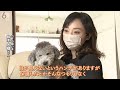 【なぜ】ペットを売らないペットショップ　犬のケアやサービスに注力【兵庫･宝塚】