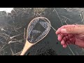 The Best Way to Fly Fish for Big Brook Trout