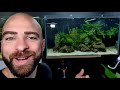 HOW TO: ECOSYSTEM AQUARIUM, NO WATER CHANGES | Full Step By Step Tutorial | MD FISH TANKS