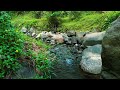 Relaxing River Sounds River nature sounds Asmr sleep Nature ambience Forest stream Relaxing yoga