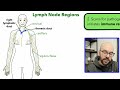 Lymphatic System