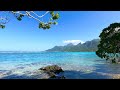 Blue Waters: Calming Scenery From Moorea