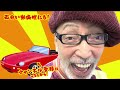 【フォルクスワーゲン　ビートルサマー】爽やかなグリーンの限定車！