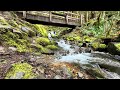 Stream under Old Bridge - Soothing river sounds