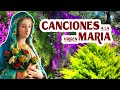 Cantos a la Virgen María ❤ Enséñame María ❤ Virgen del Rosario 2024